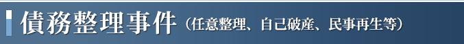 債務整理（任意整理、自己破産、民事再生等）