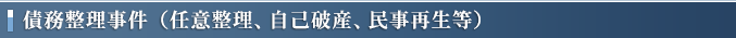 債務整理（任意整理、自己破産、民事再生等）