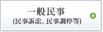 一般民事（民事訴訟、民事調停等）