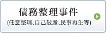 債務整理事件（任意整理、自己破産、民事再生等）